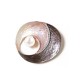 SPILLA MAGNETICA SMALTATA CON PERLA - SW24704B680