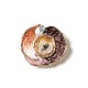 SPILLA MAGNETICA VORTICE SMALTATO CON RESINA E STRASS - SW2673C801
