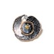 SPILLA MAGNETICA VORTICE SMALTATO CON RESINA E STRASS - SW2673C801